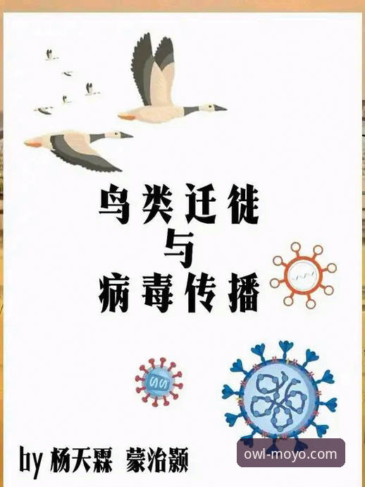 资深体育迷亲述：猫头鹰体育新手必备的实战心得与避坑指南
